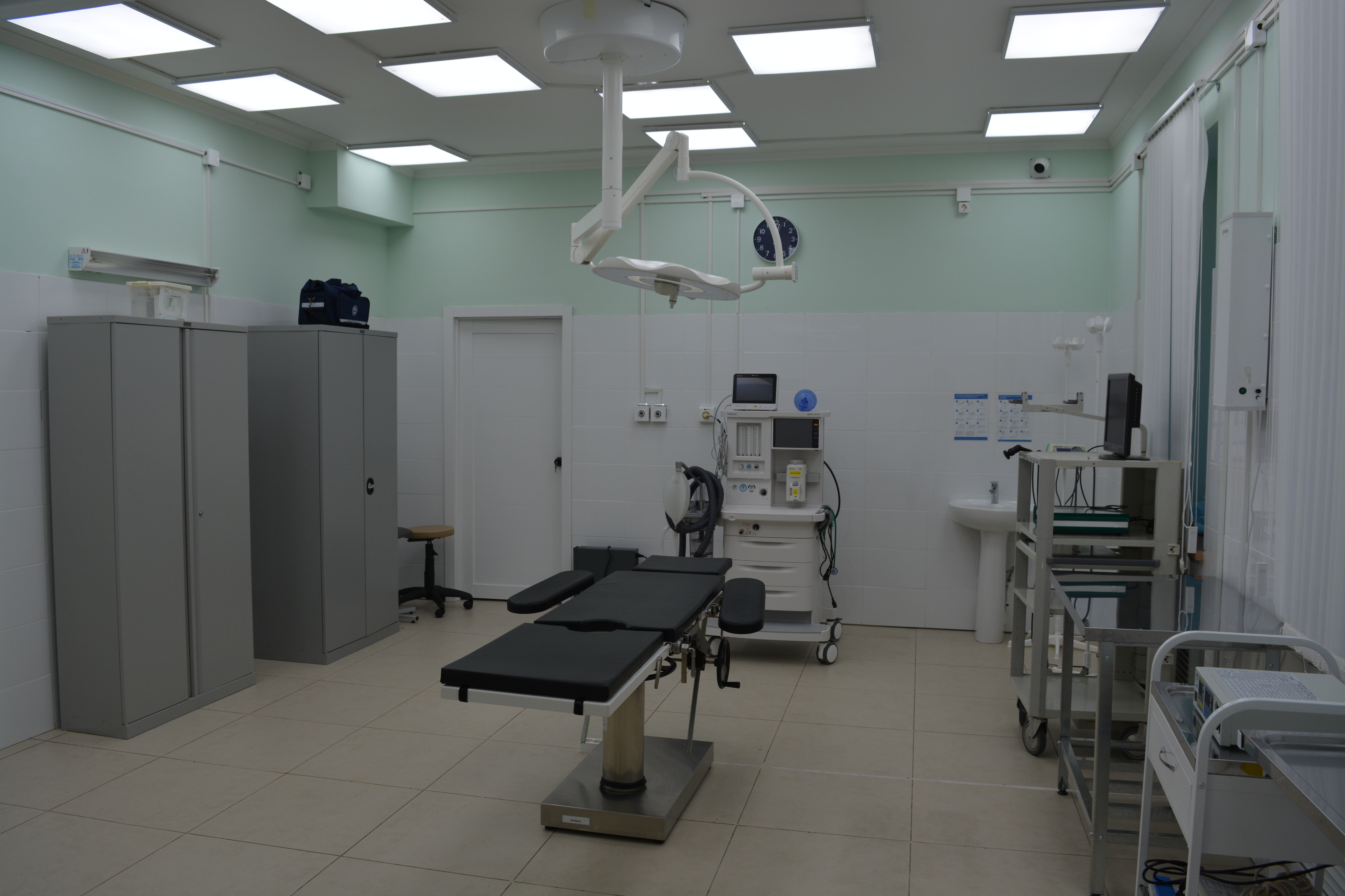 Radx Med (Радикс мед)